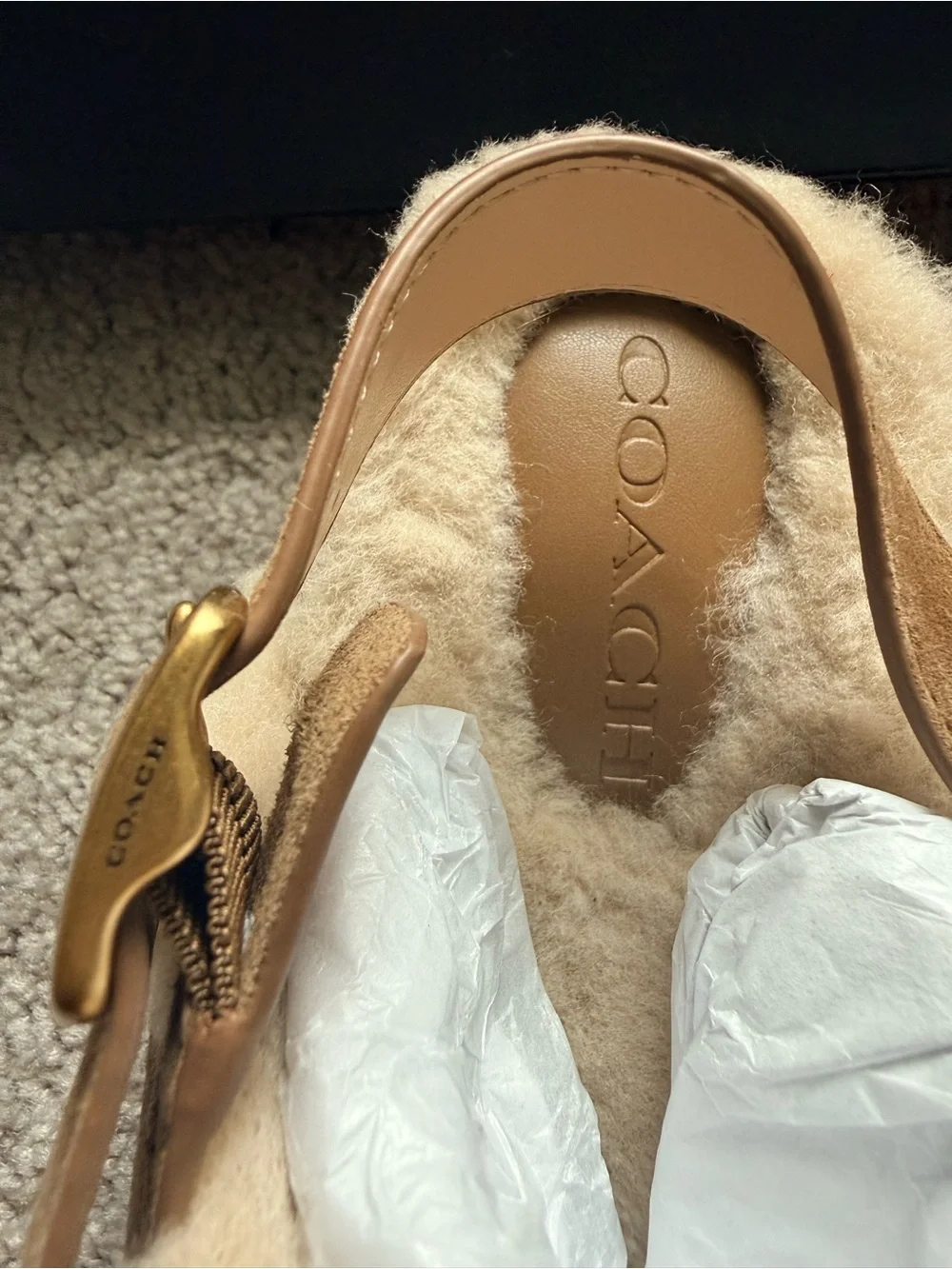 Coach Women's Sculpted C Platform Clogs in Shearling and Suede